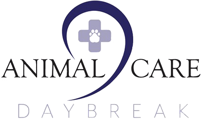 Animal Care Daybreak